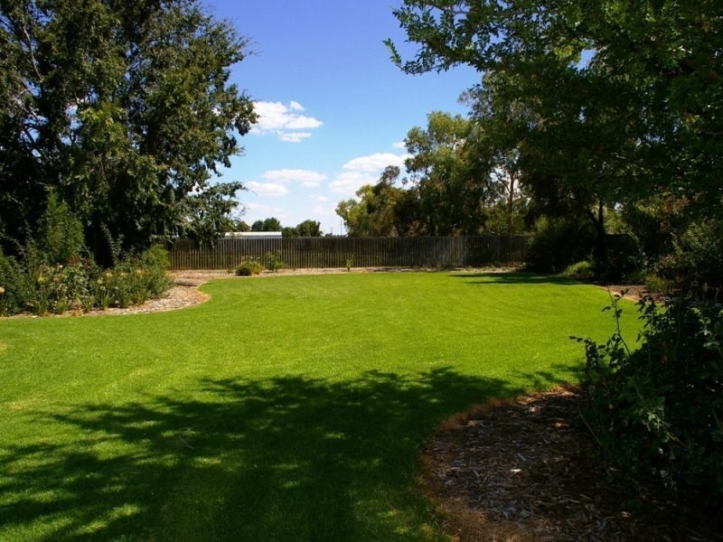 17 Twentyfirst Street, Renmark SA 5341