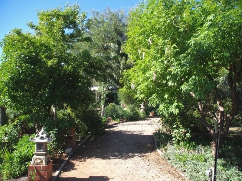 94 Twentieth Street, Renmark SA 5341