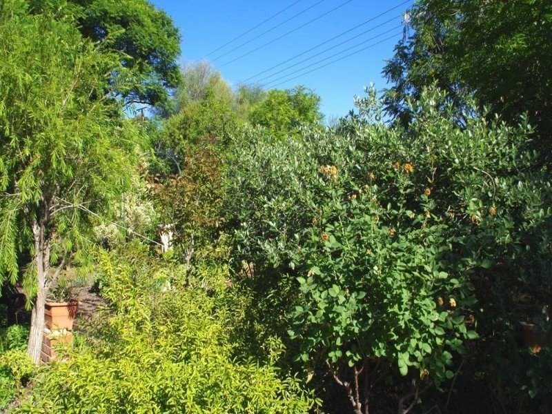 94 Twentieth Street, Renmark SA 5341