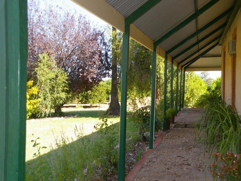 164 Tarcoola Street, Renmark SA 5341