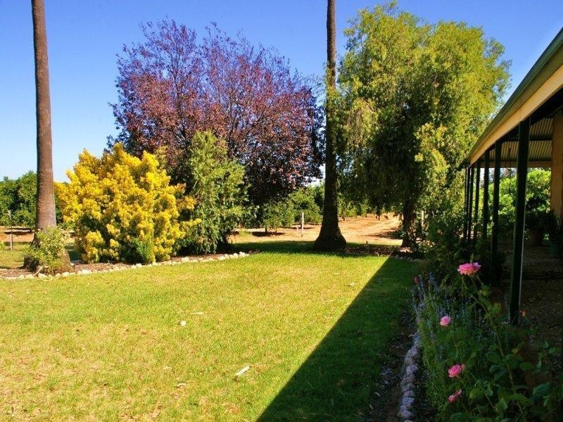 164 Tarcoola Street, Renmark SA 5341