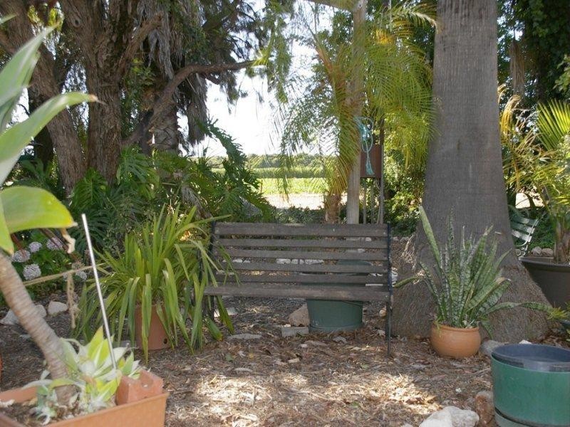 164 Tarcoola Street, Renmark SA 5341