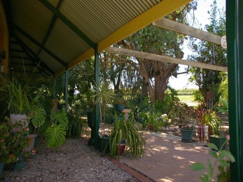 164 Tarcoola Street, Renmark SA 5341