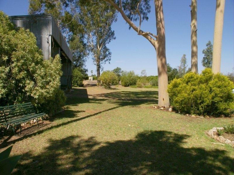 164 Tarcoola Street, Renmark SA 5341