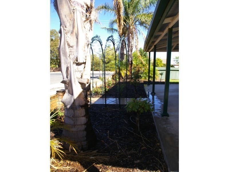 54 Thirteenth Street, Renmark SA 5341