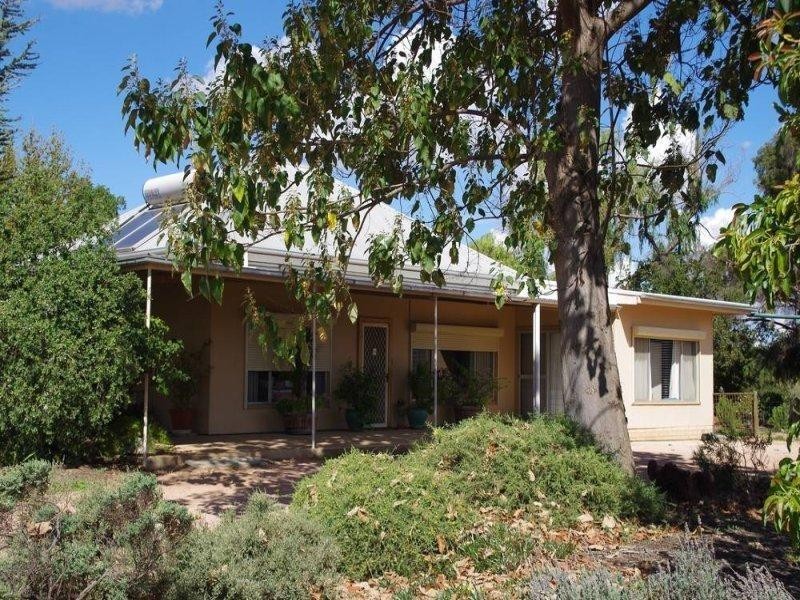 543 Kulkyne Street, Renmark SA 5341