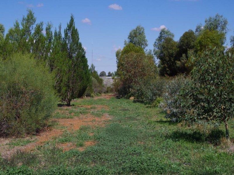 543 Kulkyne Street, Renmark SA 5341