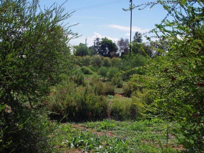 543 Kulkyne Street, Renmark SA 5341