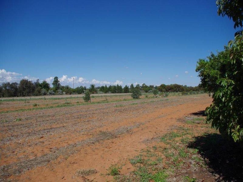 543 Kulkyne Street, Renmark SA 5341