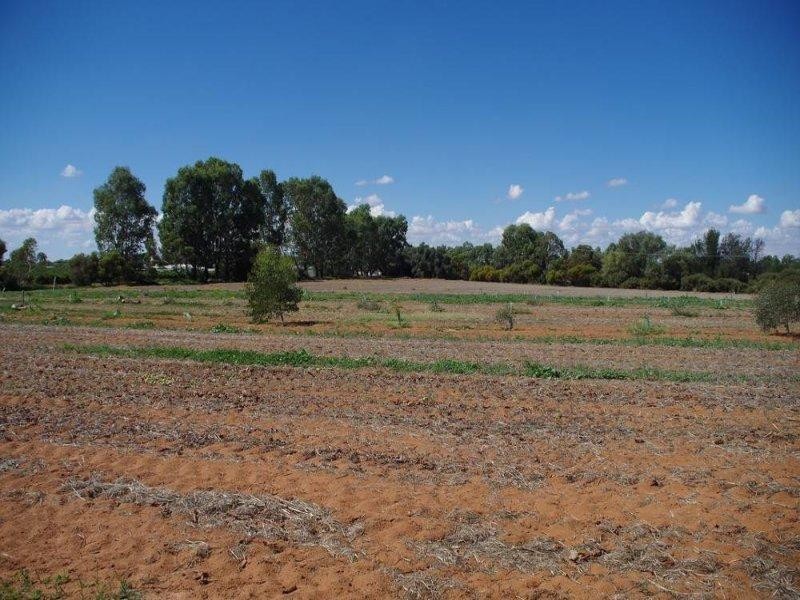 543 Kulkyne Street, Renmark SA 5341