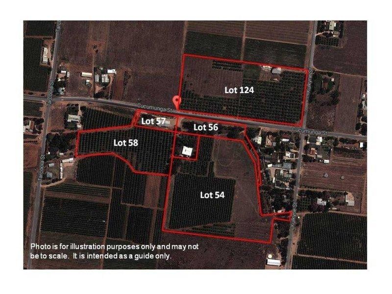 LOTS/54-56 Cucumunga Street, Renmark SA 5341