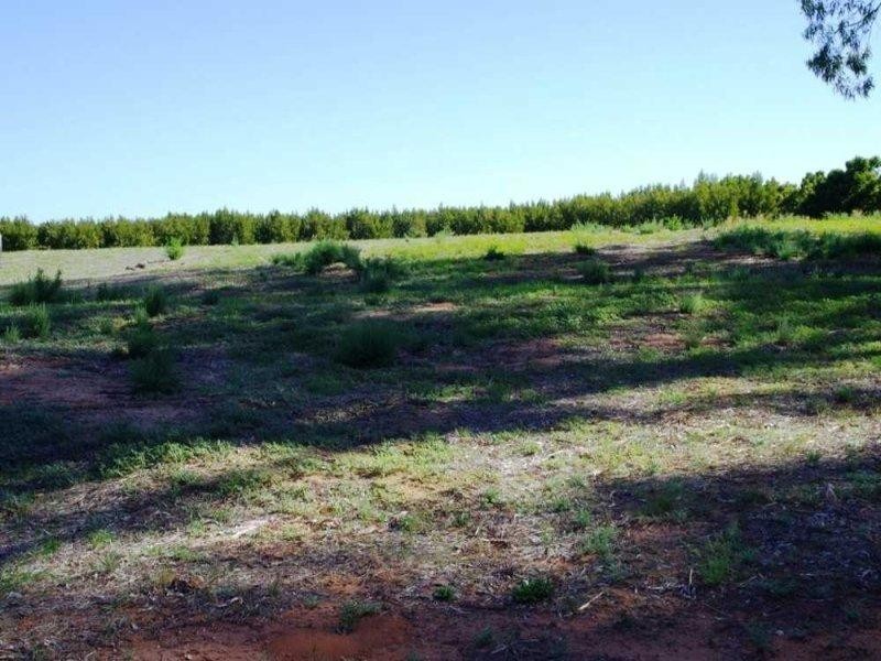 LOTS/54-56 Cucumunga Street, Renmark SA 5341