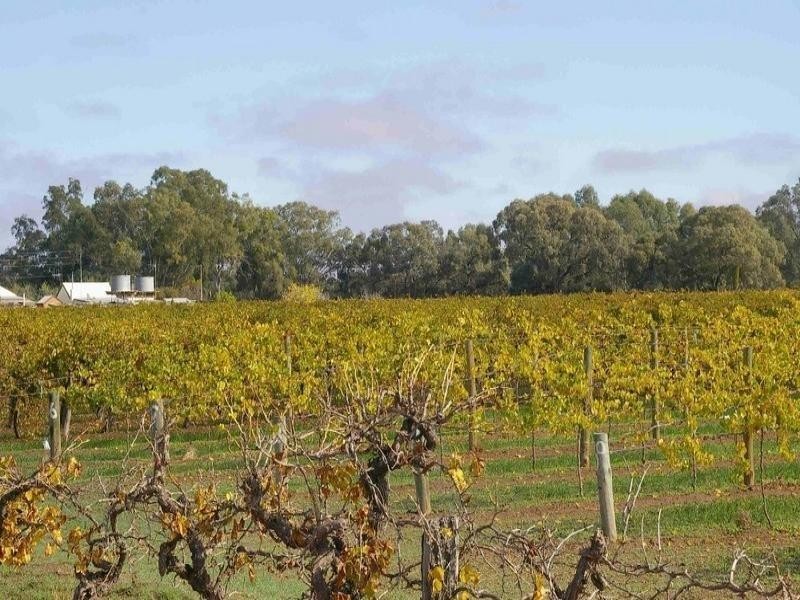 LOTS/1-2 Twentyfirst Street, Renmark SA 5341