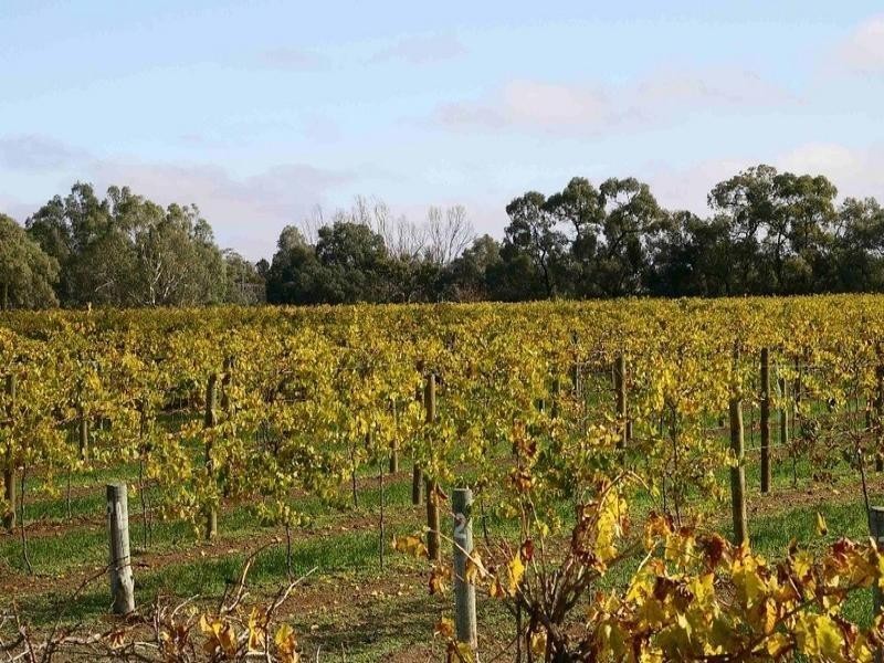 LOTS/1-2 Twentyfirst Street, Renmark SA 5341