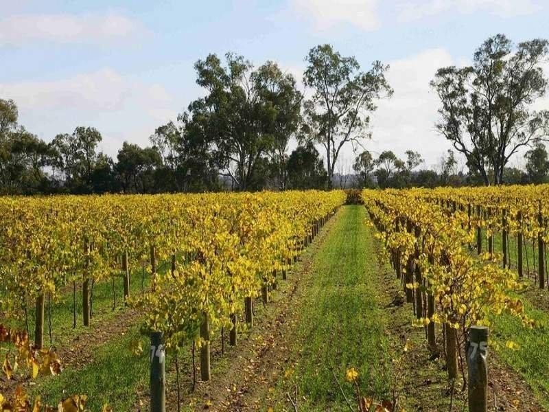 LOTS/1-2 Twentyfirst Street, Renmark SA 5341