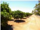 Lot 2 Rawnsley Road, Loveday SA 5345