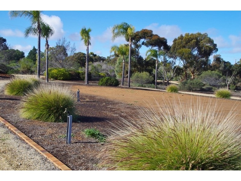 53 Murtho Road, Paringa SA 5340