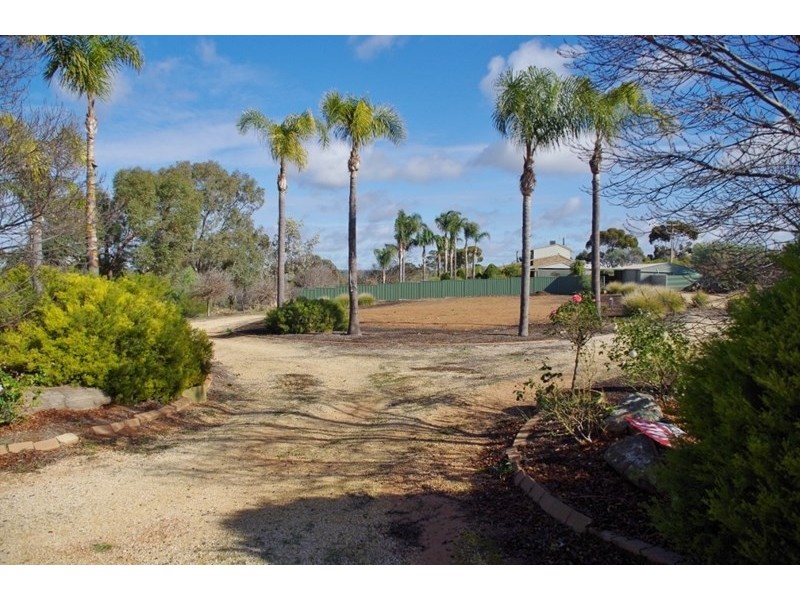 53 Murtho Road, Paringa SA 5340