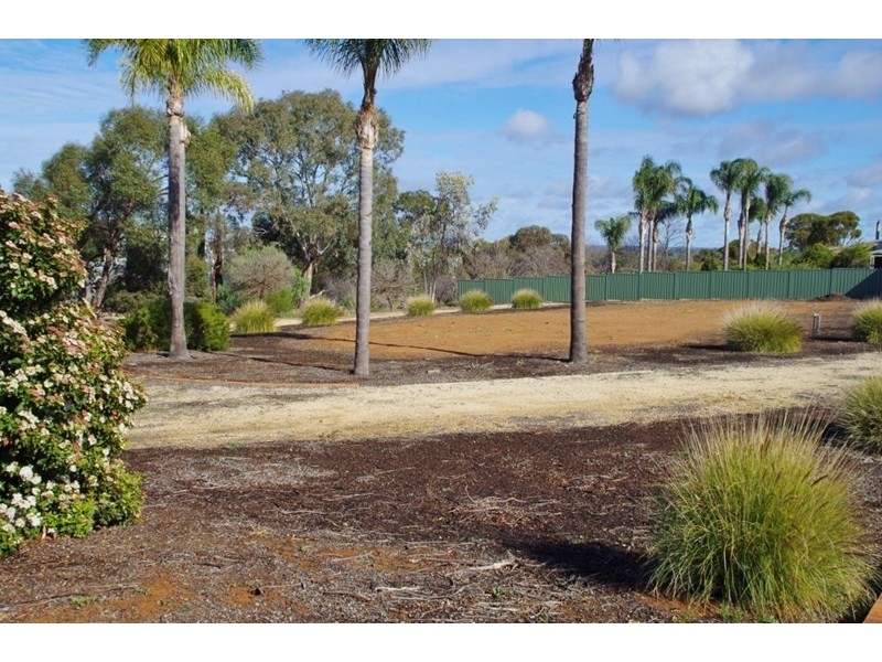 53 Murtho Road, Paringa SA 5340