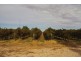 170 Eighth Street, Renmark SA 5341