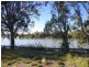 19 Ian Showell Drive, Renmark SA 5341