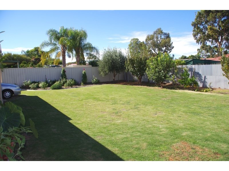 33 Korinthos Street, Renmark SA 5341