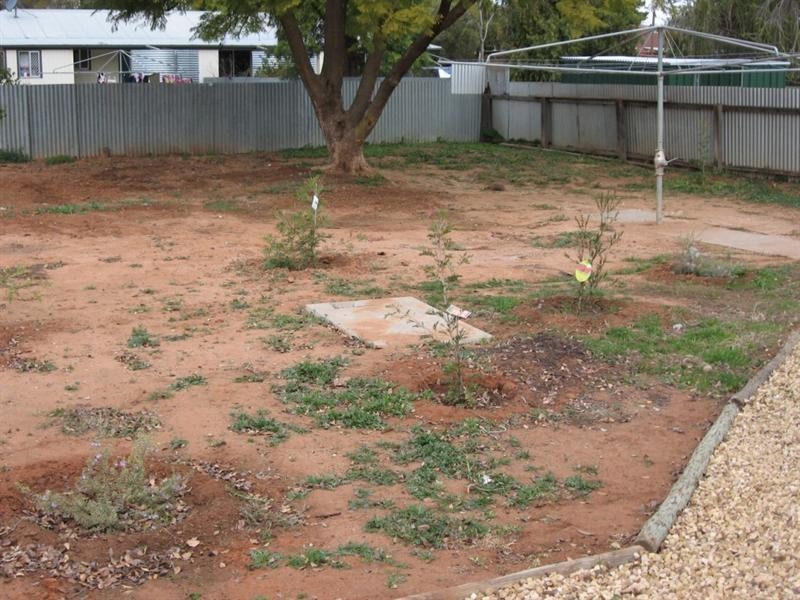 19 Banksia Street, Renmark SA 5341