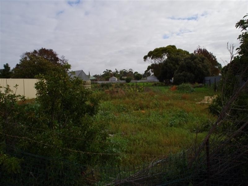 39 Pyap Street, Renmark SA 5341