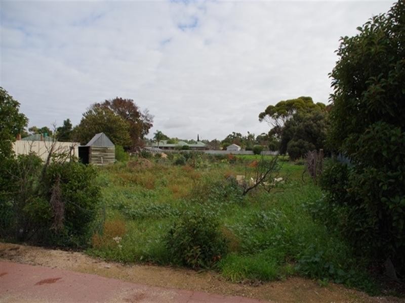 39 Pyap Street, Renmark SA 5341
