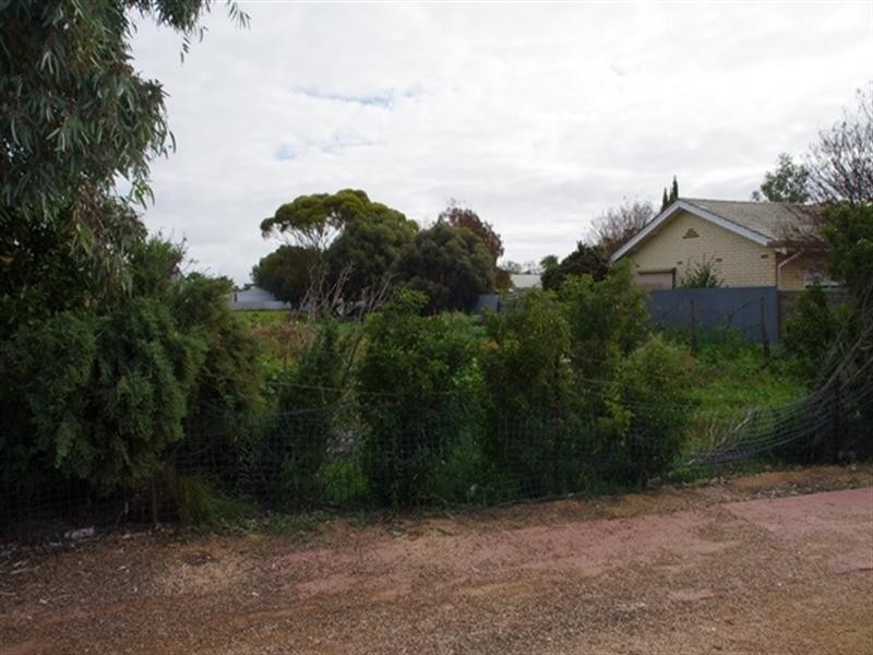 39 Pyap Street, Renmark SA 5341