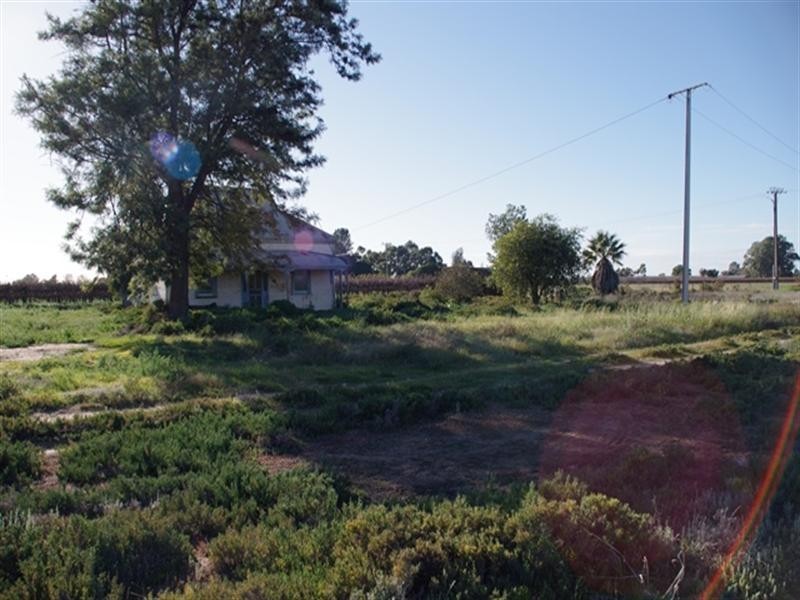 7 Begara Street, Renmark SA 5341