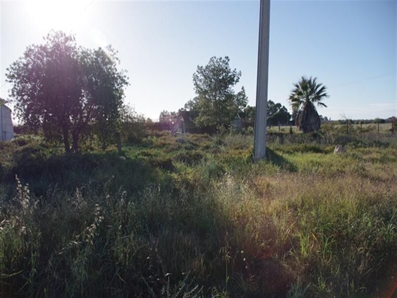 7 Begara Street, Renmark SA 5341