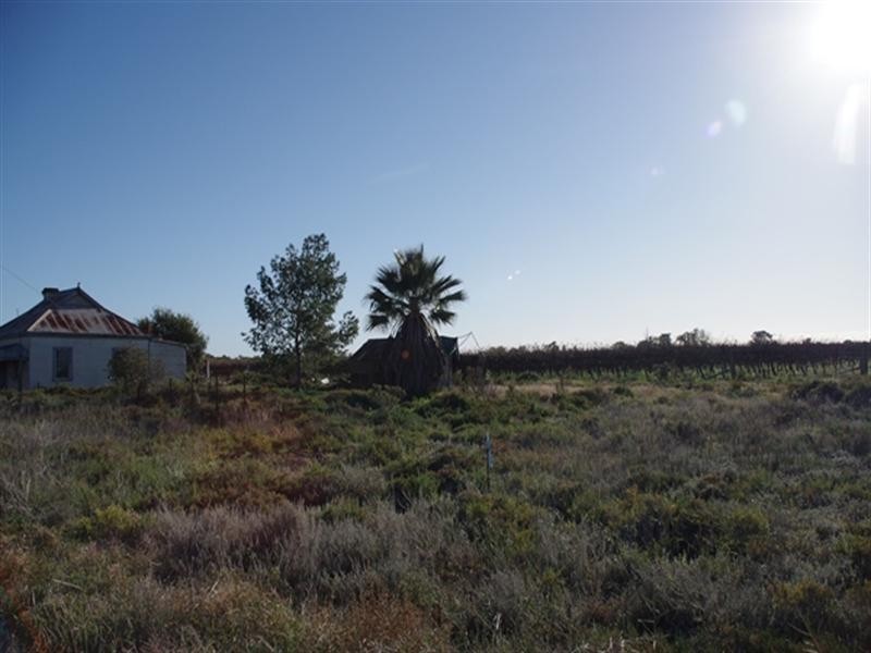 7 Begara Street, Renmark SA 5341