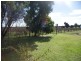 614 Chowilla Street, Renmark SA 5341