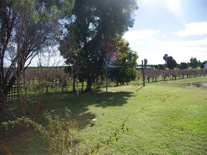 614 Chowilla Street, Renmark SA 5341