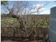 614 Chowilla Street, Renmark SA 5341