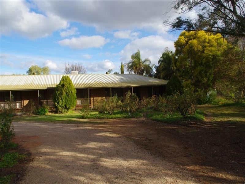 287 Cucumunga Street, Renmark SA 5341
