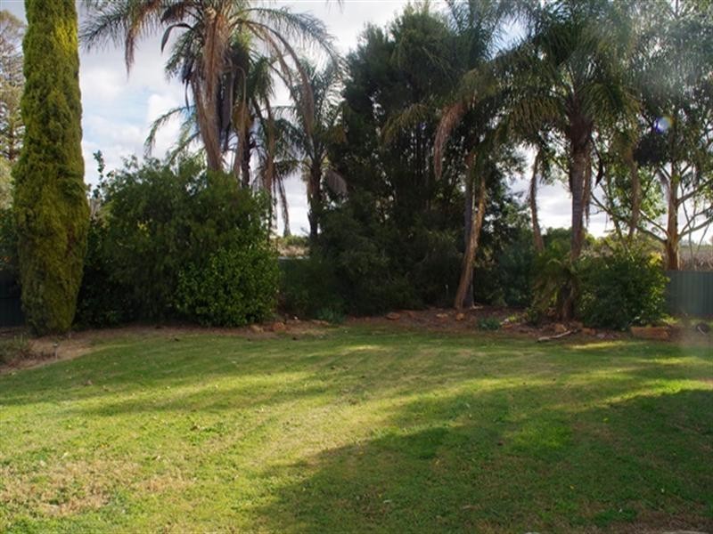 287 Cucumunga Street, Renmark SA 5341