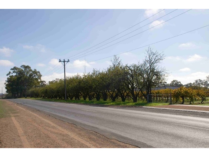 Lot’s/1 & 2 Twentyfirst Street, Renmark SA 5341