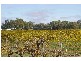 Lot’s/1 & 2 Twentyfirst Street, Renmark SA 5341