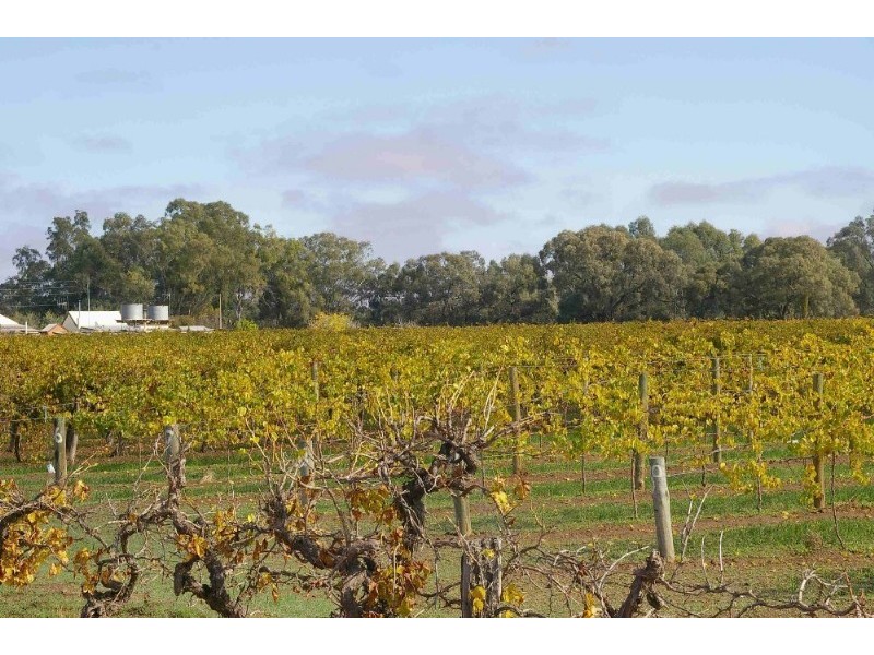 Lot’s/1 & 2 Twentyfirst Street, Renmark SA 5341