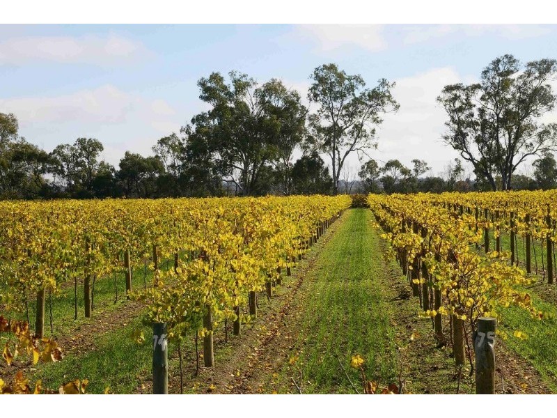 Lot’s/1 & 2 Twentyfirst Street, Renmark SA 5341
