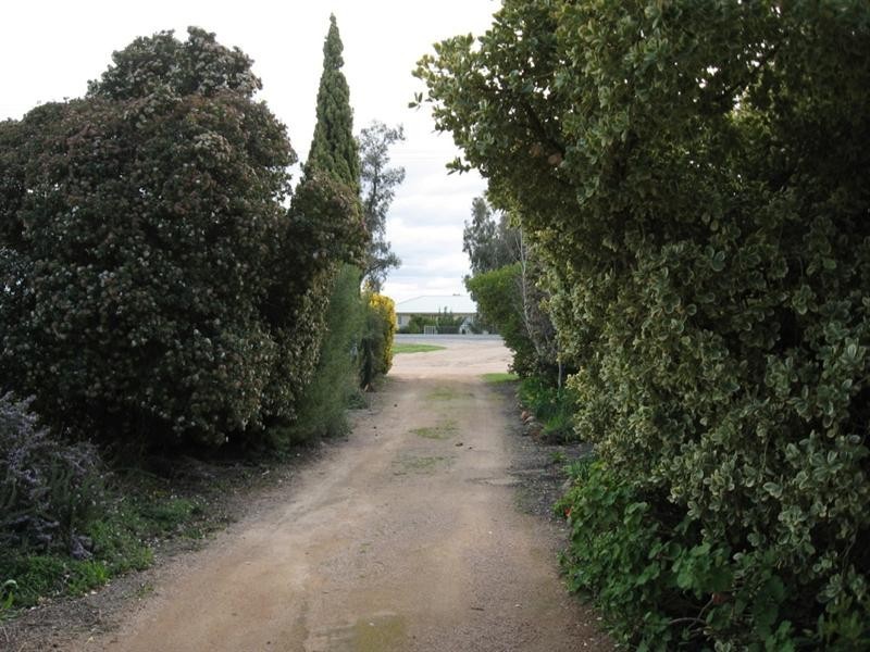 20216 Renmark Avenue, Renmark SA 5341