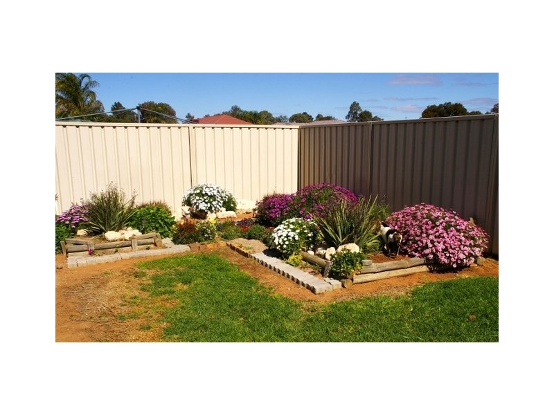 247 Twentyfirst Street, Renmark SA 5341