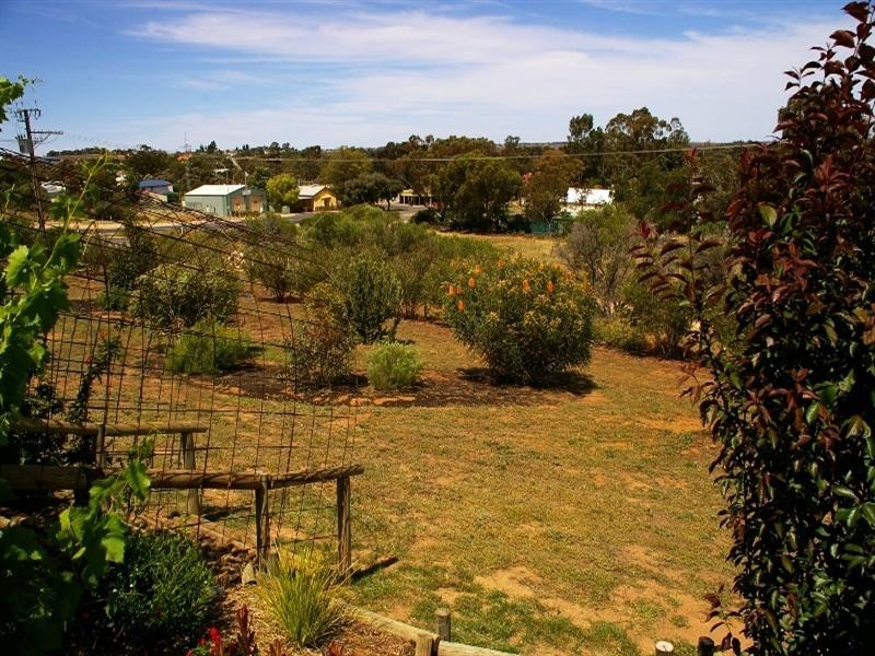 15 Murtho Road, Paringa SA 5340