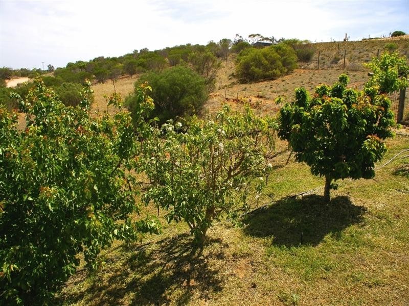 15 Murtho Road, Paringa SA 5340