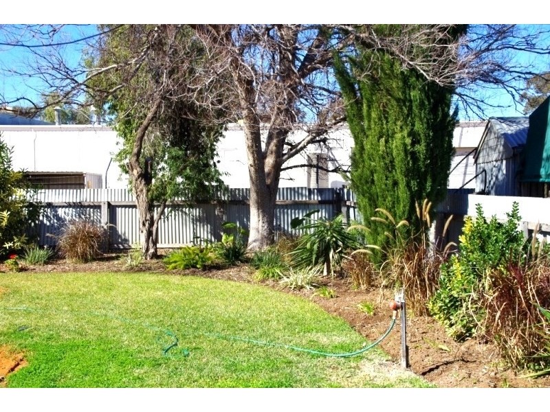 7 Tea Tree Crescent, Renmark SA 5341