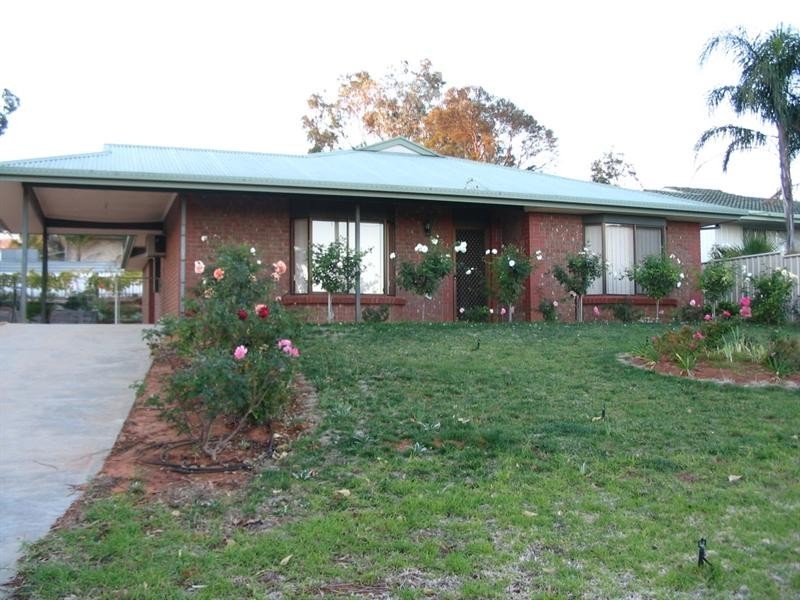 3 Dorothy Avenue, Paringa SA 5340