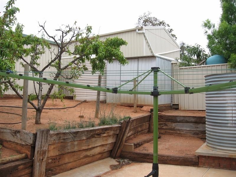 3 Dorothy Avenue, Paringa SA 5340