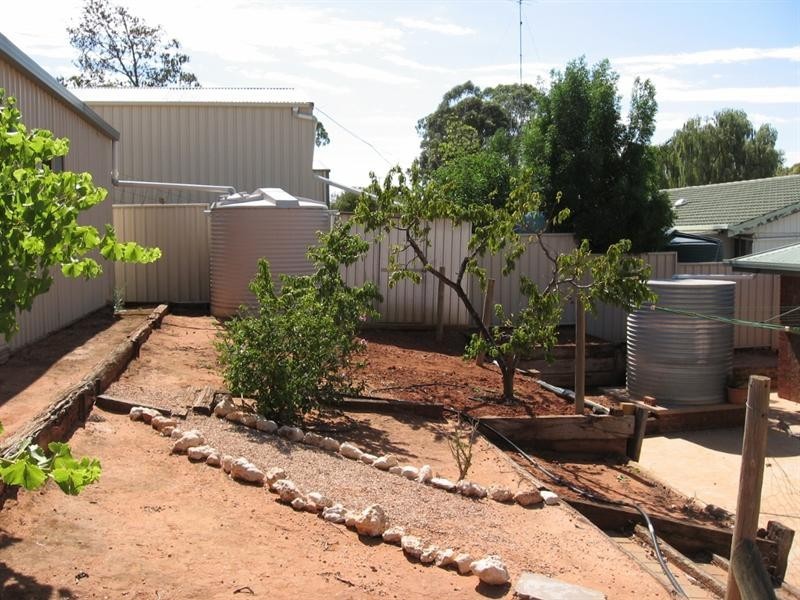 3 Dorothy Avenue, Paringa SA 5340